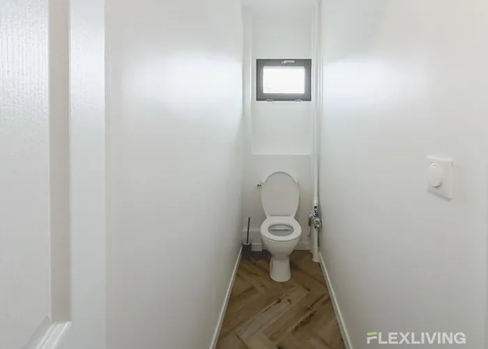 Modern In T7 In 20 파리